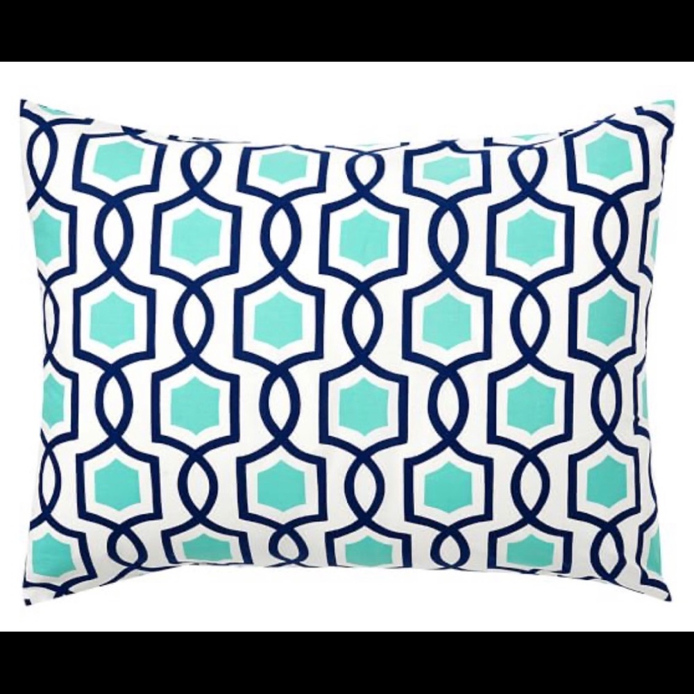 Pottery Barn Teen Pool & Navy Trellis Twist Shams